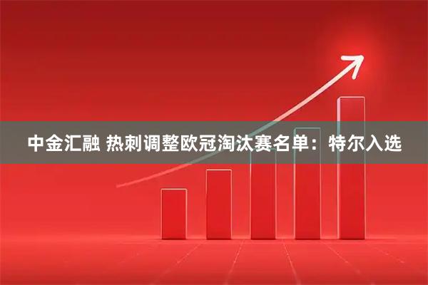 中金汇融 热刺调整欧冠淘汰赛名单：特尔入选