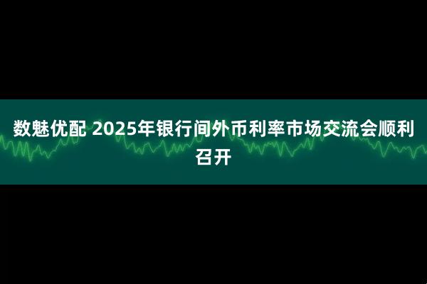 数魅优配 2025年银行间外币利率市场交流会顺利召开