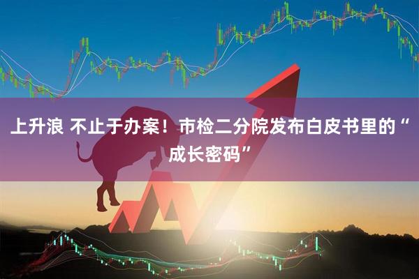 上升浪 不止于办案！市检二分院发布白皮书里的“成长密码”